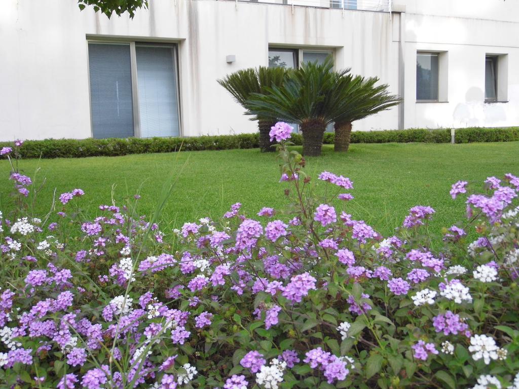 Fiore Dell'Etna Appartement Santa Venerina Buitenkant foto